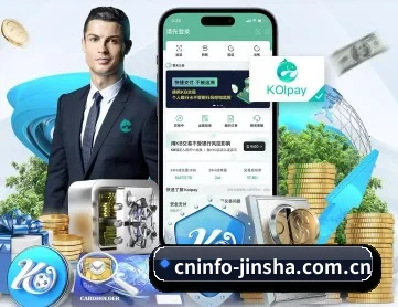 金沙 APP 深度功能